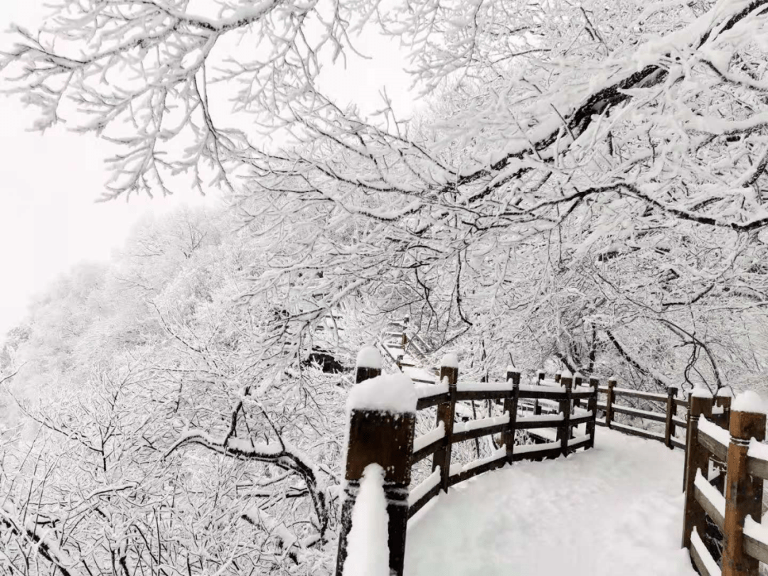 被雪景刷屏!汉中多地降雪!这些高速路段封闭,限行