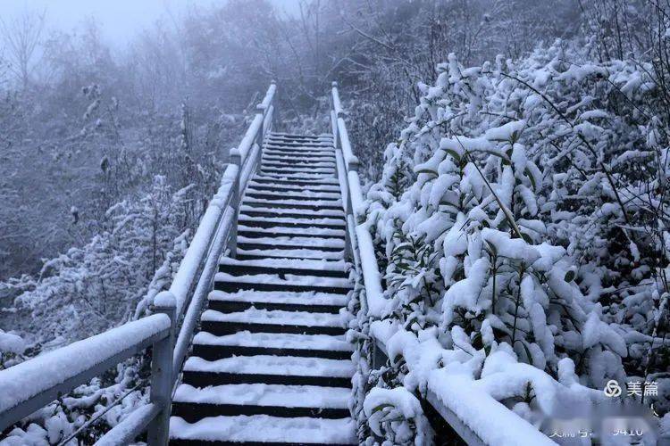 汉中开启赏雪模式!银装素裹好似童话世界!