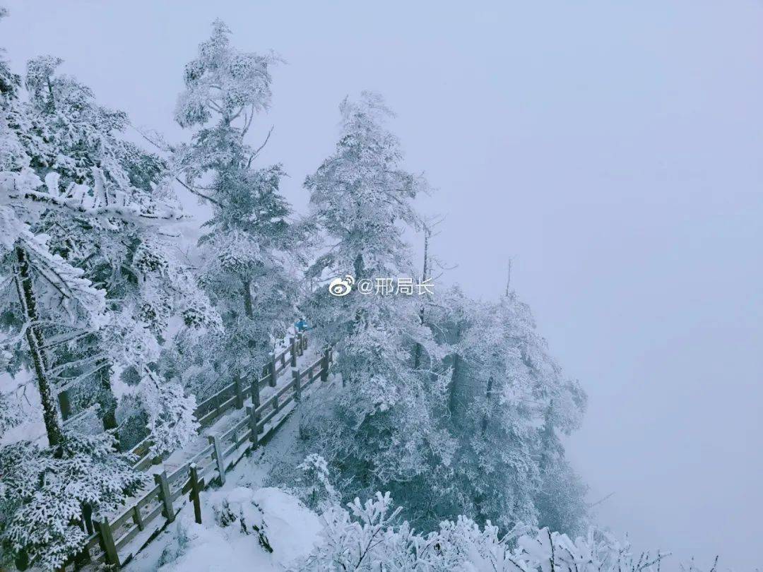 西岭雪山又下雪了,积雪厚达30cm,美成了人间仙境!