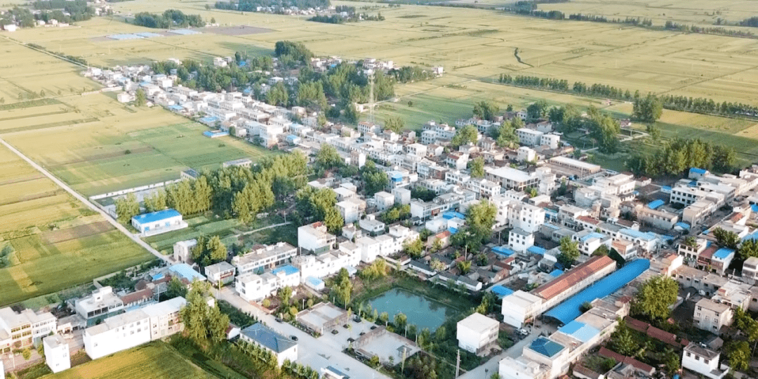 泗阳杨集居委会人口_泗阳葛集小学图片(2)