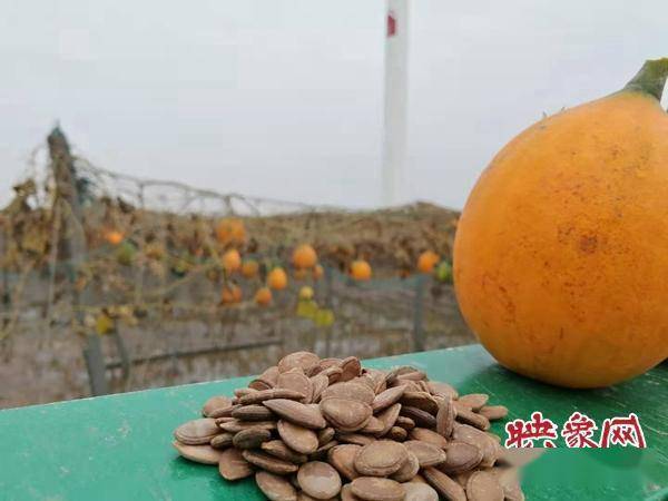 兰考县有多少人口(3)