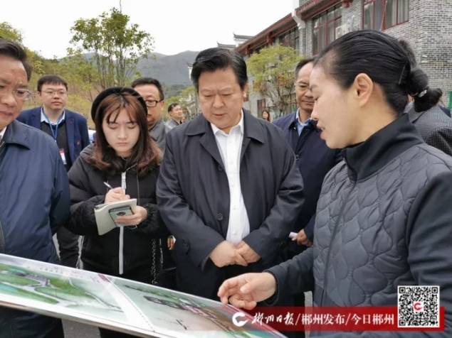 郴州市委副书记,市长一行调研沙洲区域规划建设工作