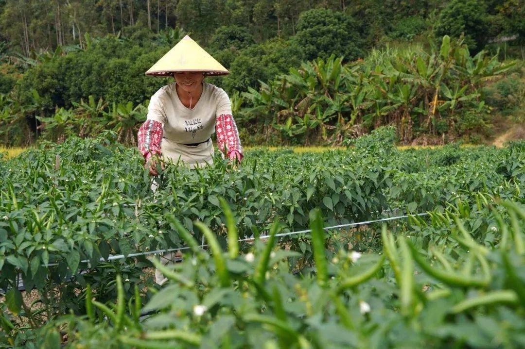 江口有多少人口_南江口出现一帮人...