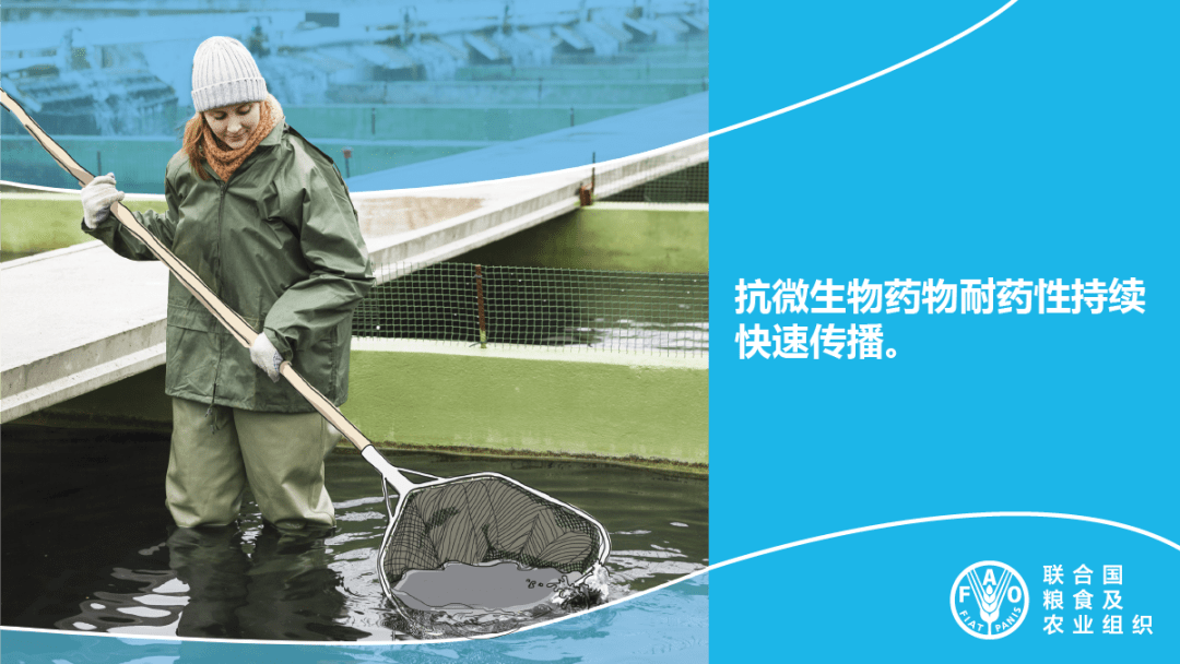 GDP与食物系统_gdp与国际收支的关系