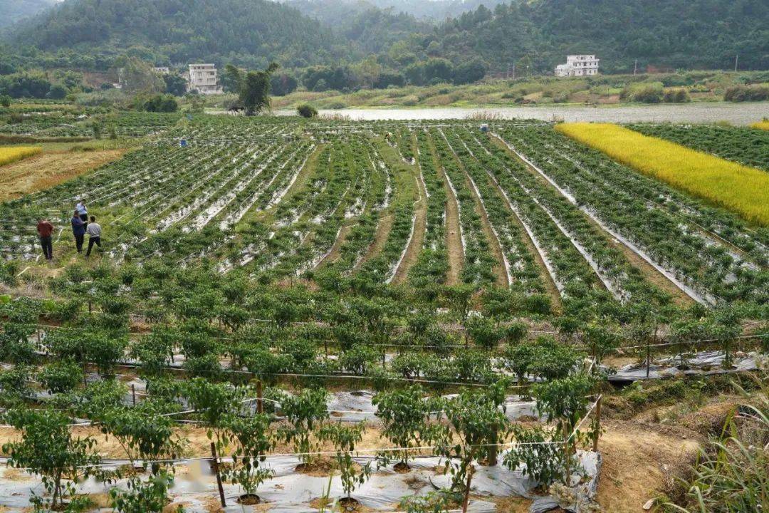 郁南县有多少人口_郁南县地图全图