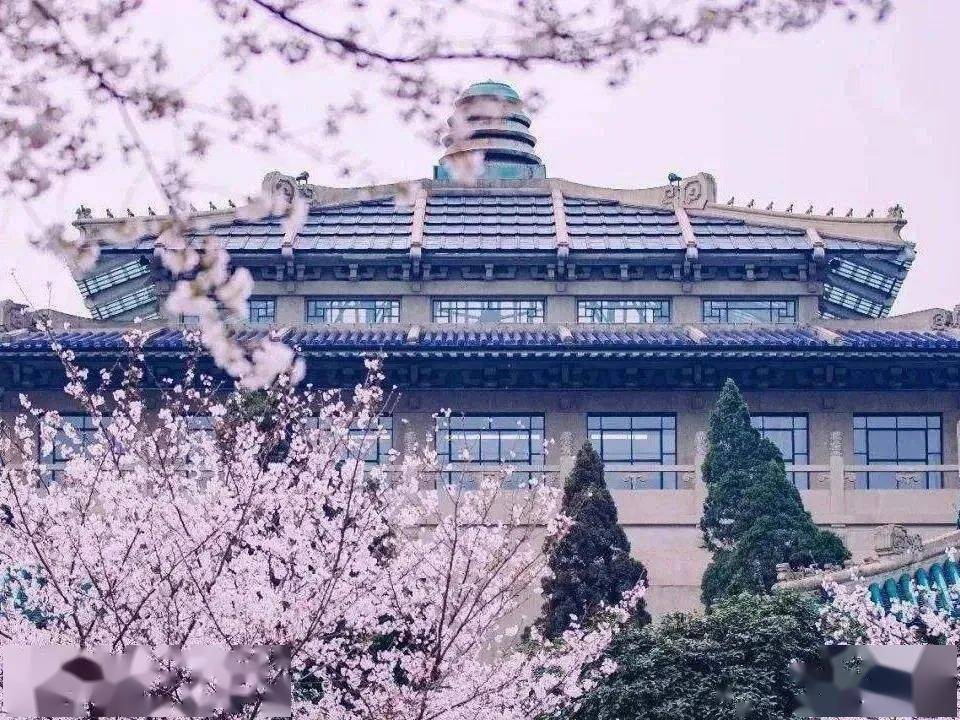 东湖畔,珞珈山, 山上有黉,武汉大学.