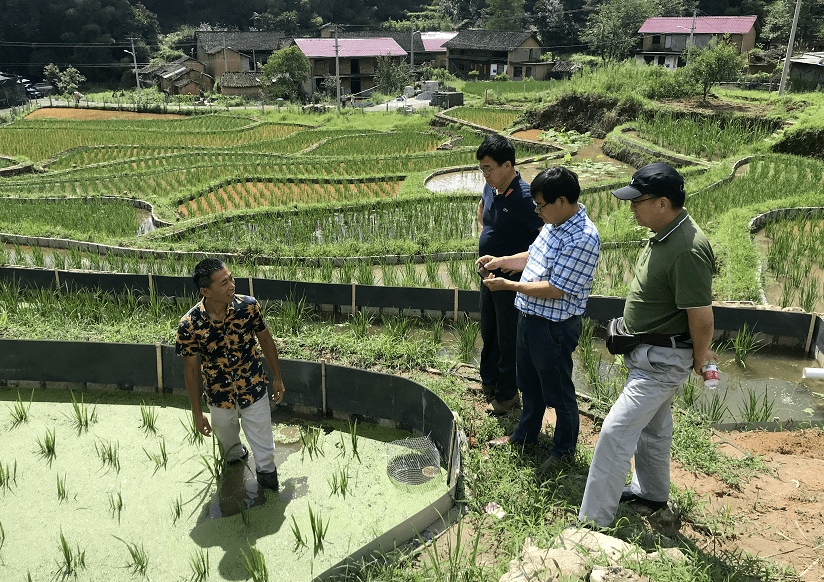 绍根人口地_地缚花子君赤根葵头像