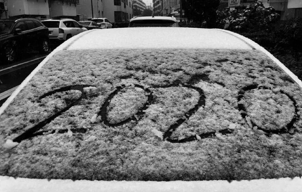 2020年门窗排名_荣誉加冕丨诗尼曼门窗再度荣膺2020“中国门窗品牌百强(2)