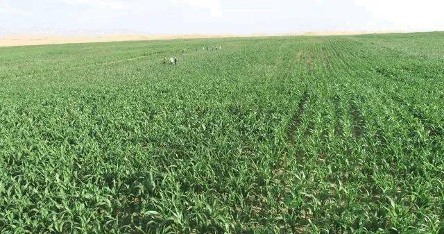 重庆交通大学2020年_重庆交大携手腾讯共建绿洲未来