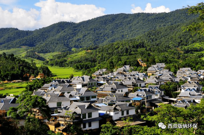 勐海县人口_勐海县地图