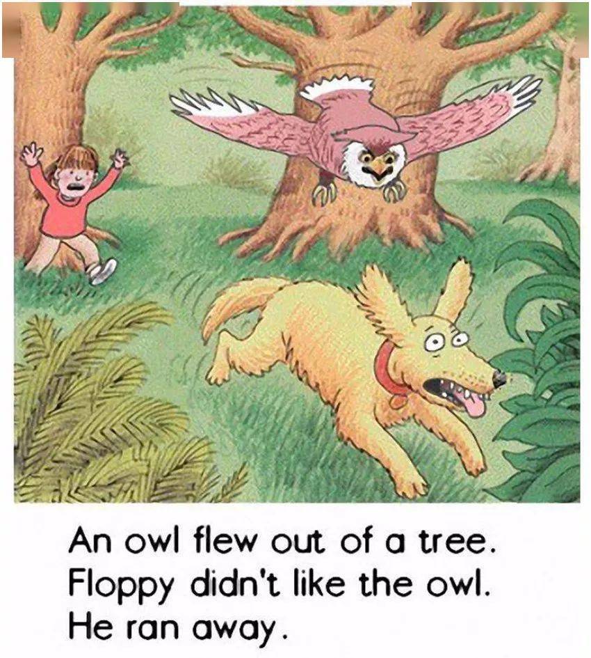 an owl flew out of   tree.