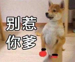 7a3d4b1a60b54fd7b683533d38860579.jpeg