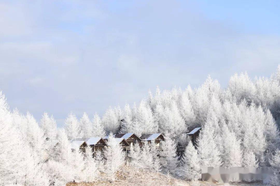 谈球吧体育神农架国际滑雪场二日游128元人（12月5日仅此一班）(图2)