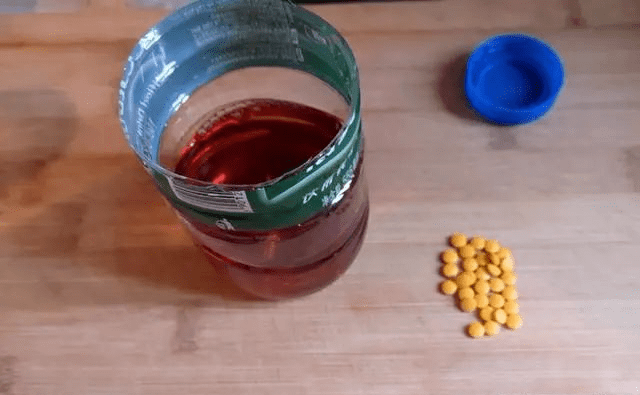 怎么样自制钓鱼酒米窝料 b486cdc7f594488e8d507e441a0d72d7.png