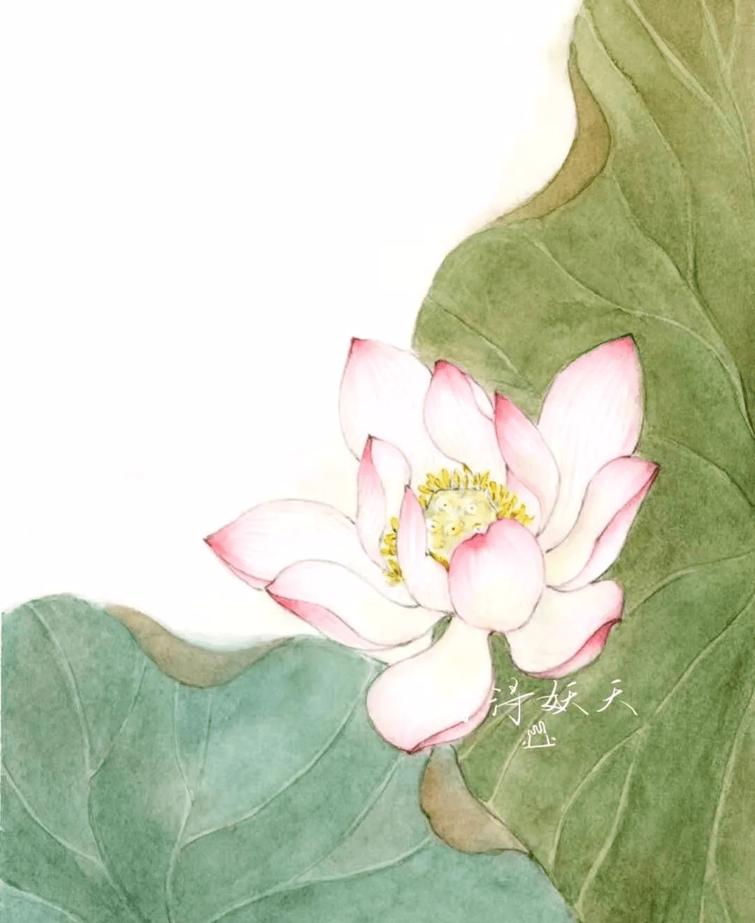 ec620b53d9f6408fa32bb3e5f40f3242.png