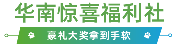 圣诞来华南宠物展一站买遍全球宠物用品丨参展品牌预览米乐m6官网登录入口(图5)