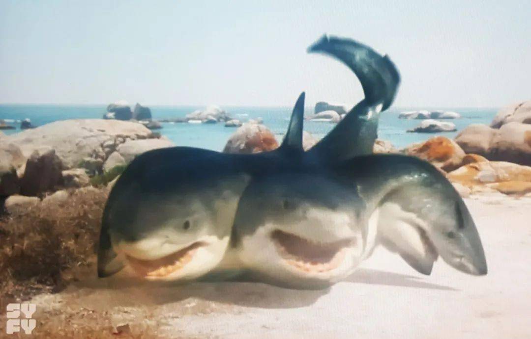 美国好莱坞到底拍了多少部鲨雕片?