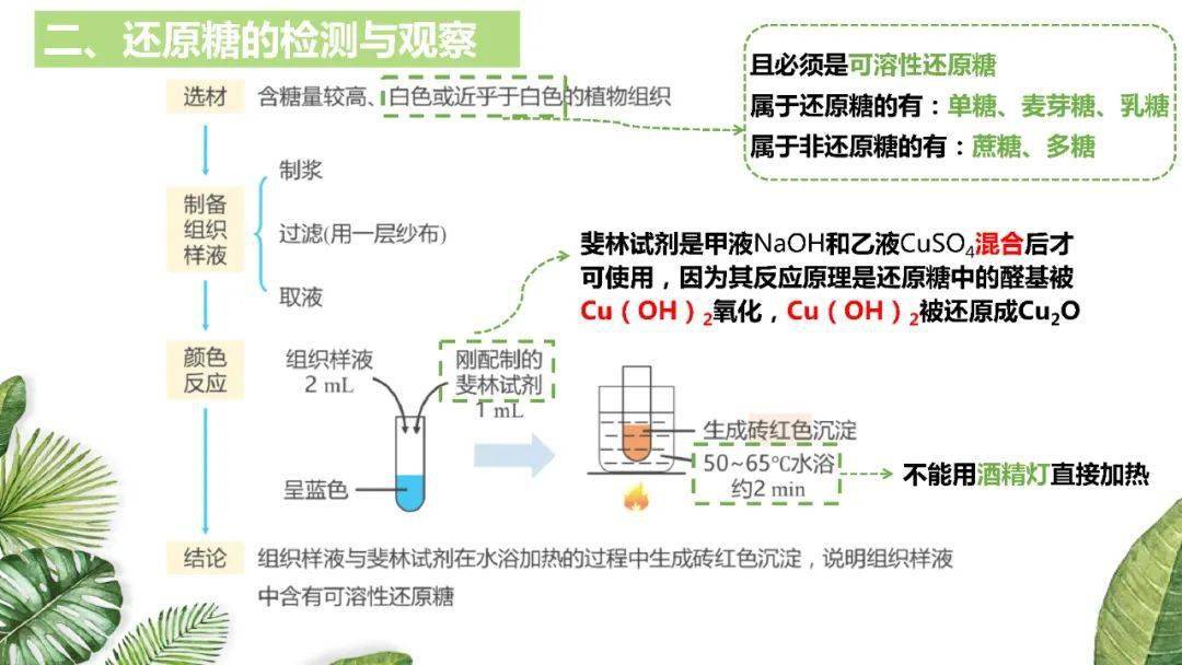 高考|考生必看！附电子版~2021高考一轮| 细胞机器分子组成专题及近三年高考真题压轴练