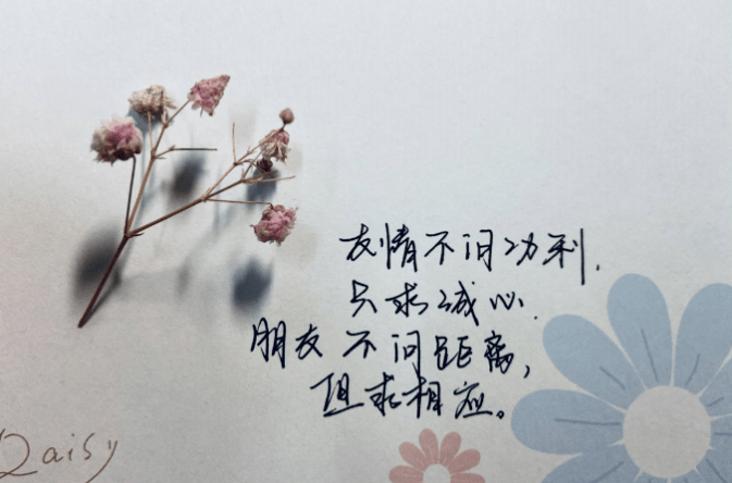 感恩节|见字如面,纸短情长