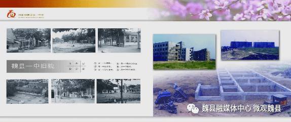 魏县多少人口_魏县限行区域图(2)
