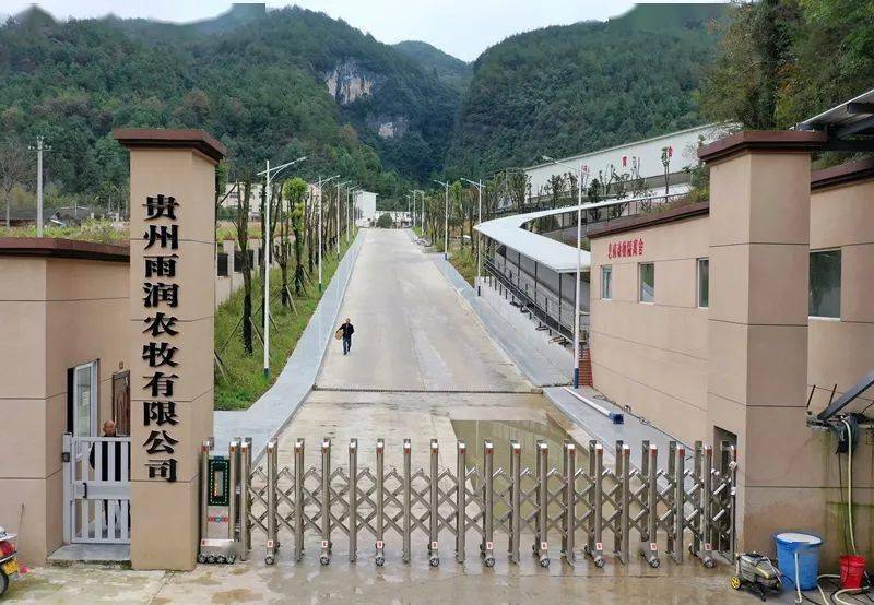 道真县经济总量_道真县(2)