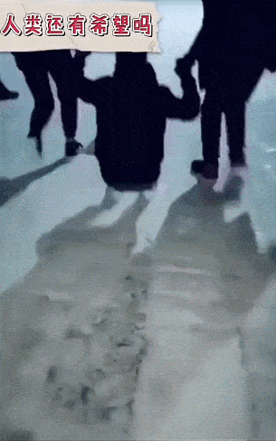 东北的路这是有多滑