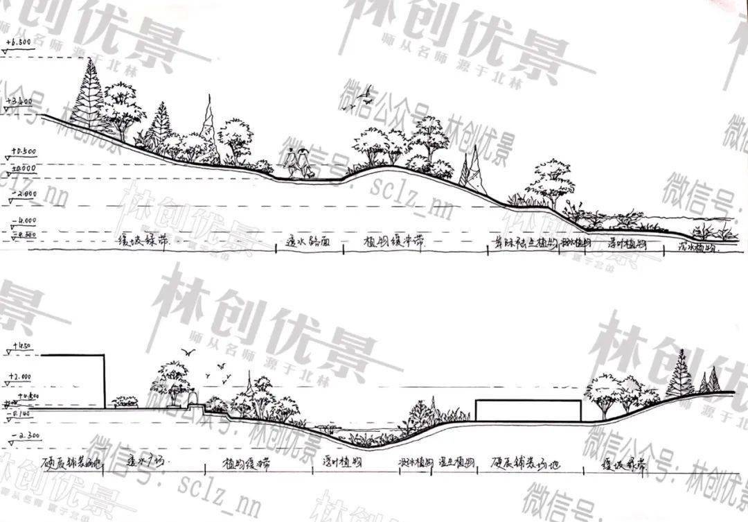 剖到雨水花园时也可以把净水体系画