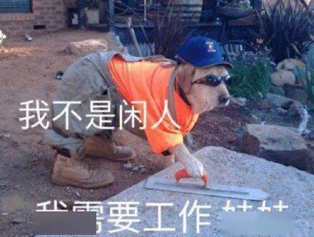 96ec8397e8e4457cb12c728002456c13.jpeg