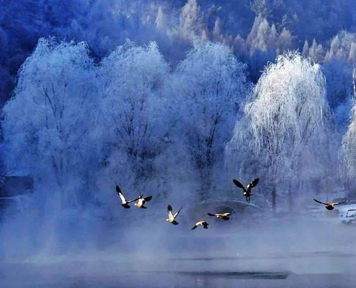 一组极美的雪景图片