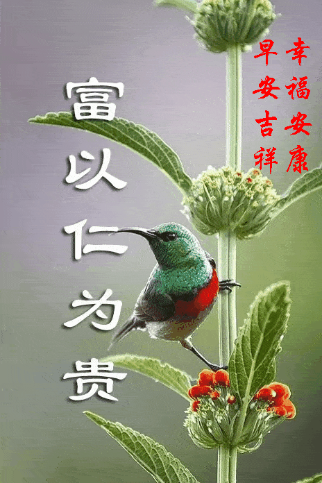 464_696 竖版 竖屏