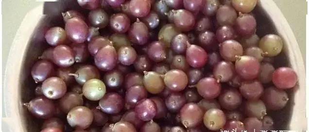 吃什么东西能软化血管 e6097aaac8b9427ba71f82985dd19f28.jpeg