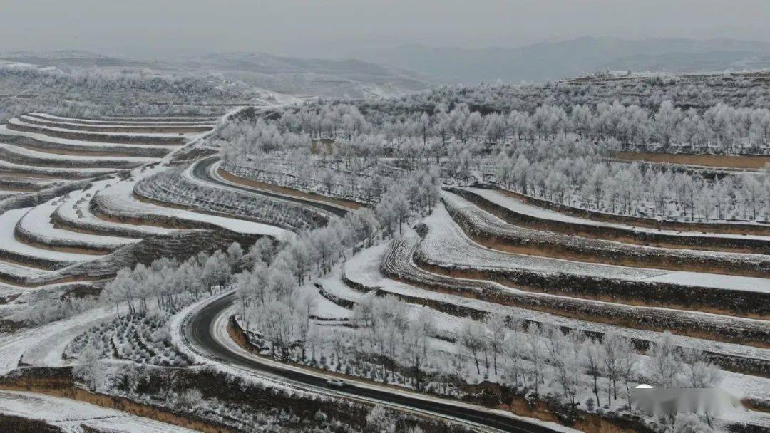 冰雪华家岭!妖娆如诗画