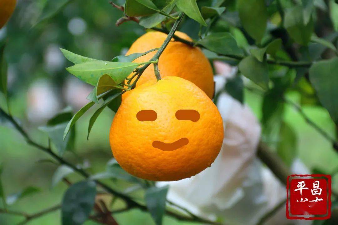 f2ad38156b6040569601c5c554a9b54e.jpeg