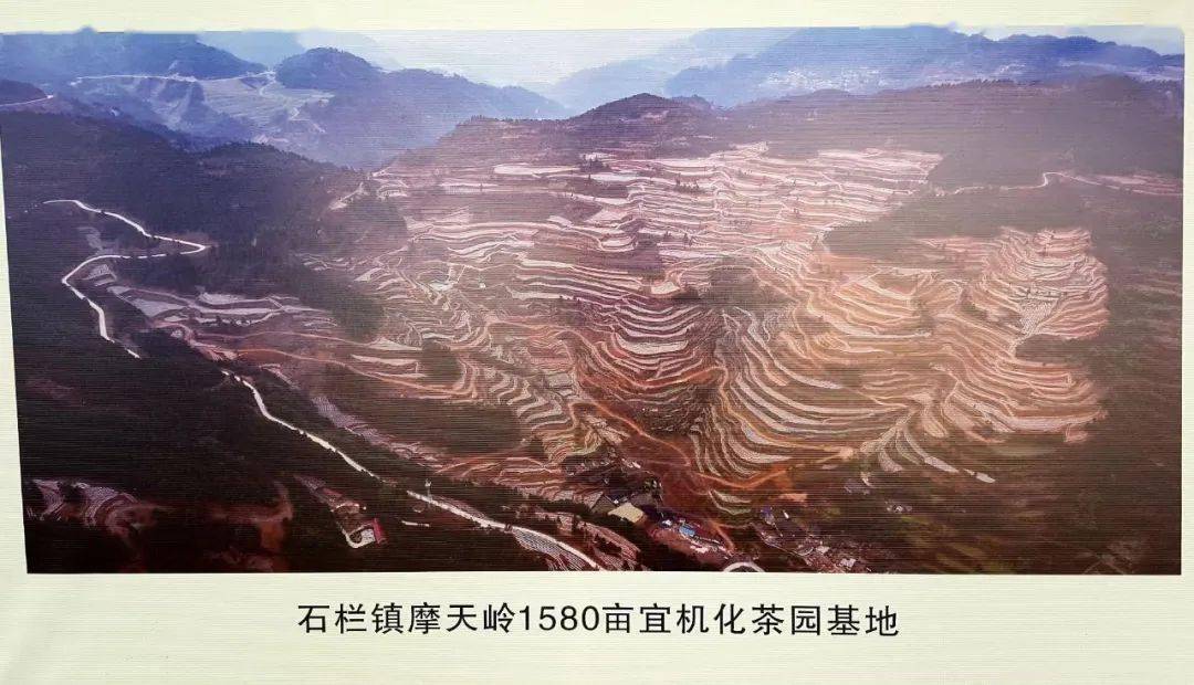 什么样属于荒地 f40f43889c5b4767aeafd4923d09ad0d.jpeg