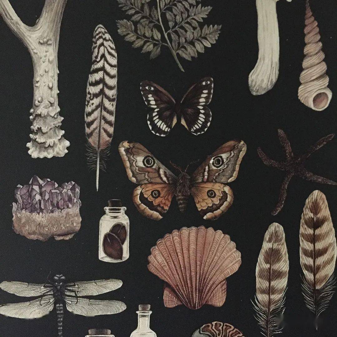 Nature Journals — Twig & Moth