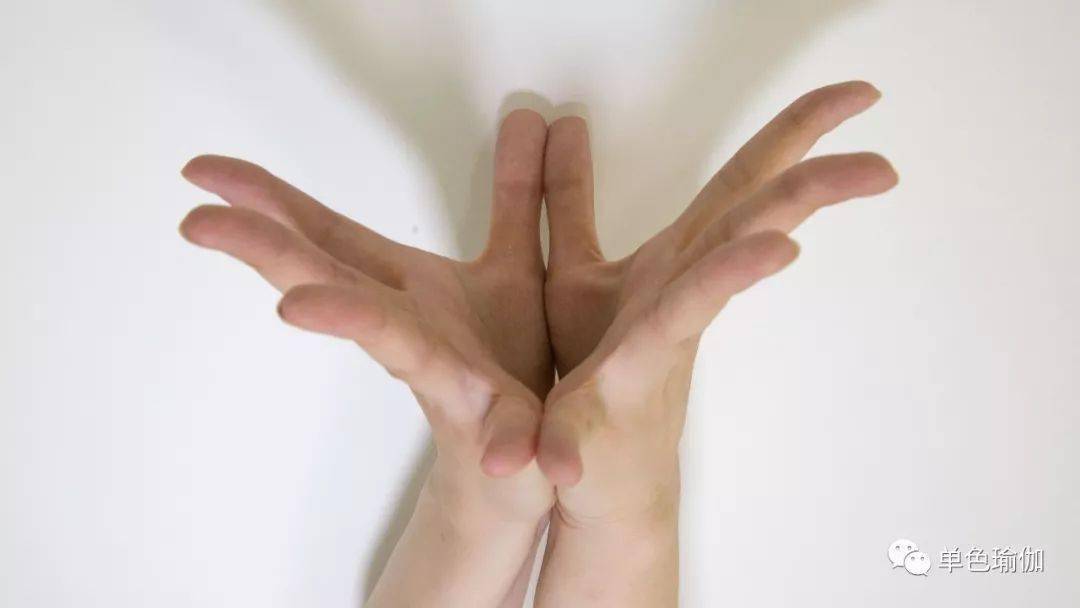 瑜伽人必看：这些常见的手印你知道多少？泛亚电竞(图3)