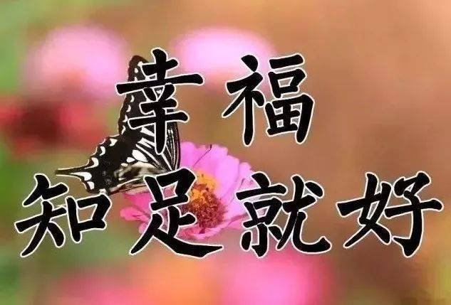 84a61de974e04d4a908cb50abe6ef7e3.jpeg
