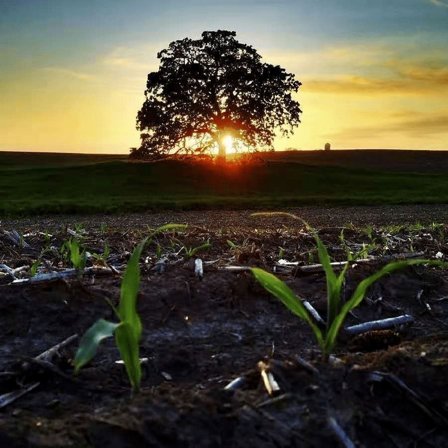 世界著名纯音乐大全 e6af36ab127944b9abb1344feadb4683.png