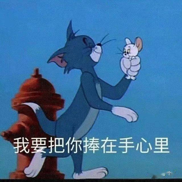 我不値得: 好家伙,看了最后面,果然天造地设的一对儿 @白马公主来接