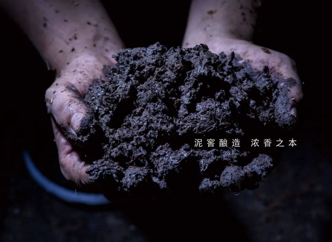 人类|去月球有多难？中国人终于做到了