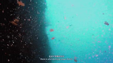 别羡慕北方大雪了,海洋里天天