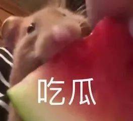 马丽宋佳新片《阳光劫匪》定档元旦；周冬雨成