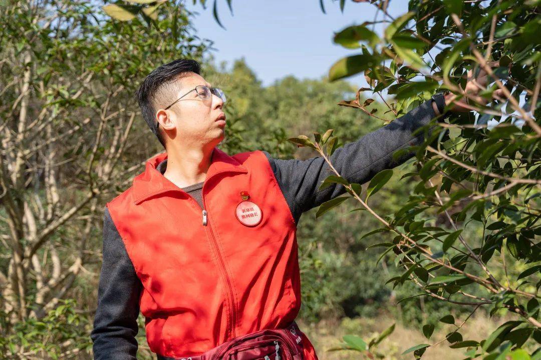 局 换届进行时监制:马亮春审核:纪卫林供稿,校对:顾秋叶,杨天昊编辑