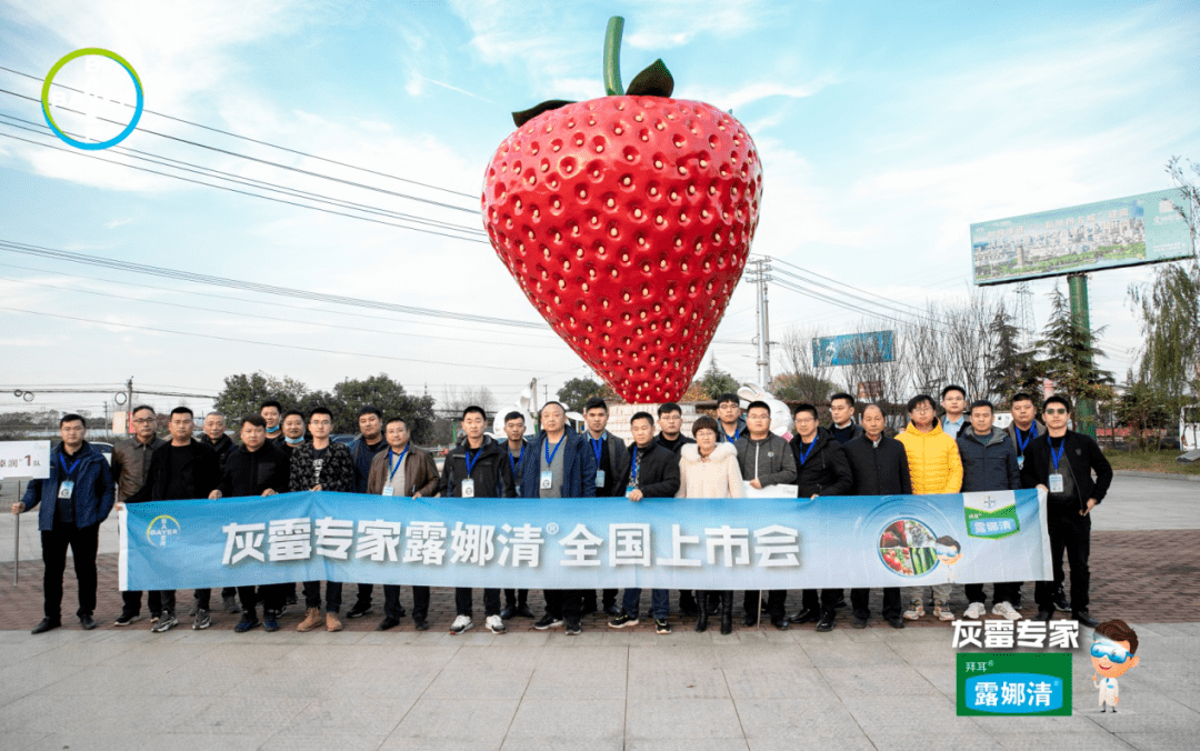 露娜家族再添新员,灰霉专家拜耳露娜清重磅来袭!