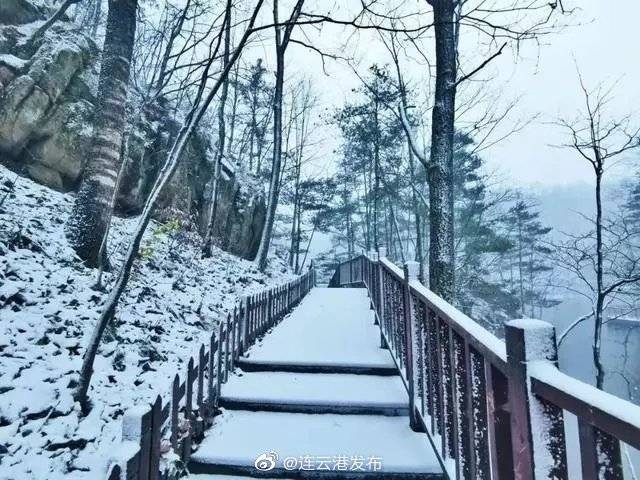 迎今冬第一场雪！打卡连云港海上云台山