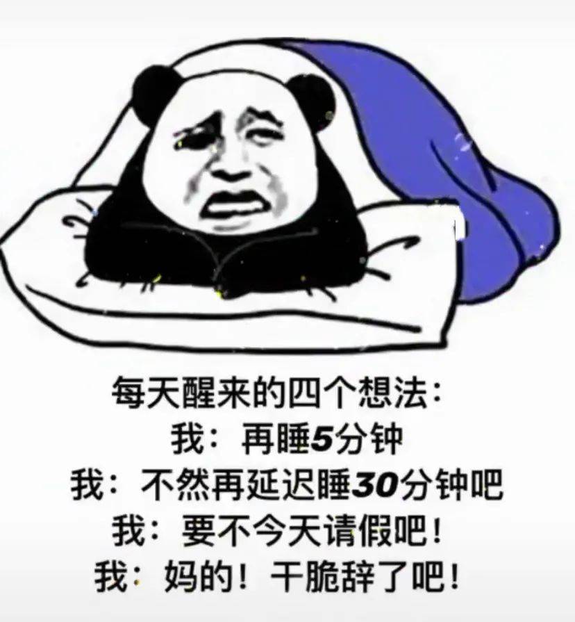 熊猫头表情包 i 世上最丑的两种人!