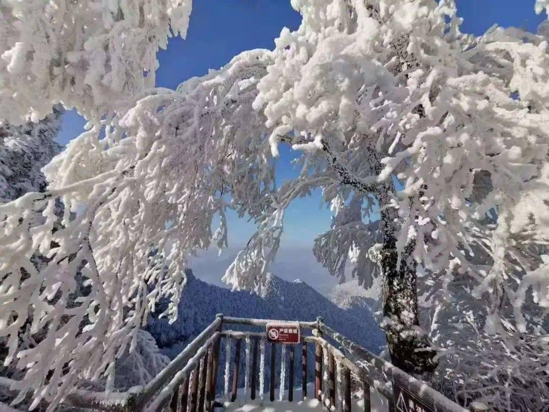 和丁真一样干净的还有光雾山的冰雪胜景