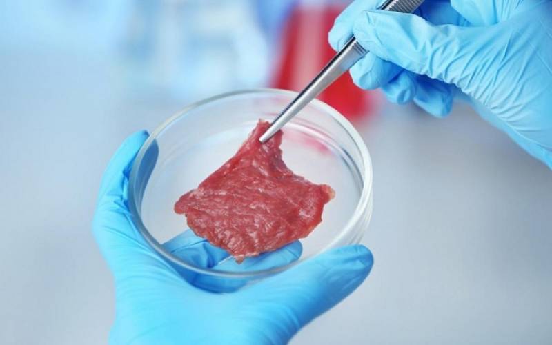 “细胞肉”来了：全球首例实验室培育鸡肉获准上市！