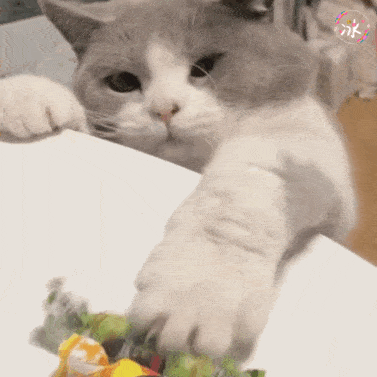 377_377gif 动态图 动图
