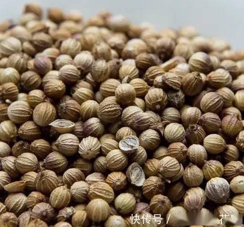 怎么种香菜种子步骤 1219f71cfb544f9595a1556cc137f607.jpeg